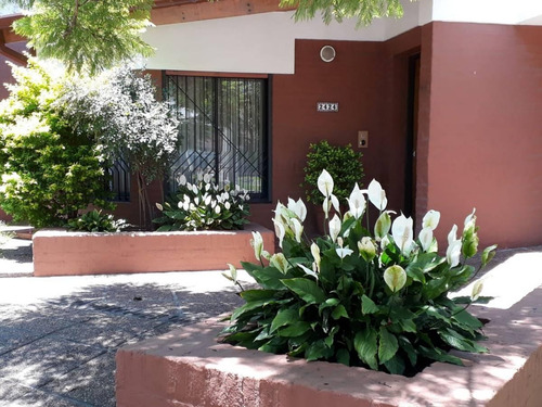 Imagen 2 de 16 de Casa Muy Completa En Parque Chacabuco