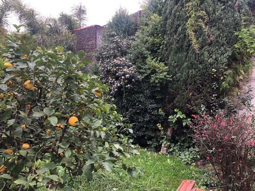 Imagen 11 de 15 de Venta Casa 4 Amb C/patio Y Jardín! - A Reciclar
