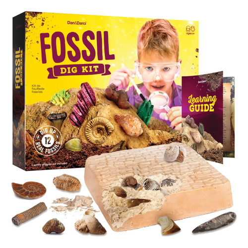 Kit De Excavación De Fósiles Dan & Darci Con 12 Fósiles Genu