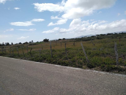 Imagen 5 de 8 de Terreno En Venta San Vicente Buena Vista