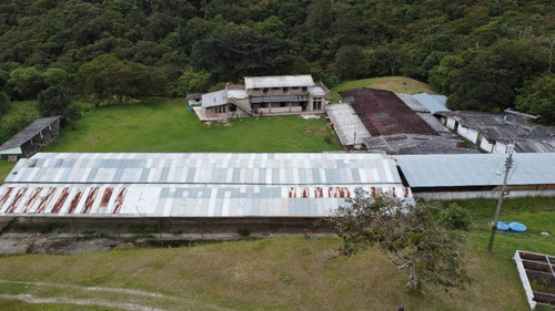 Imagen 4 de 22 de N.m. Finca En Venta En Capacho