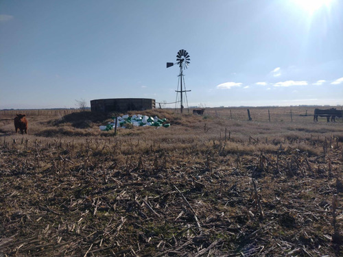 Campo En Venta En Saladillo %90 Agricola