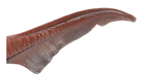 20cm Dinosaurios Modelo De Juguete Dunkleosteus Dinosaurio P