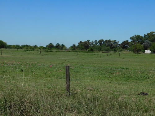 Imagen 2 de 3 de Lote De Terreno En Venta En Chascomus