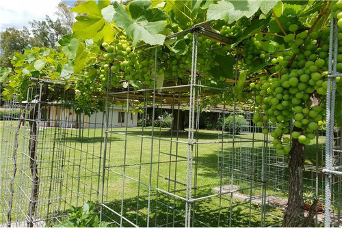 Imagen 7 de 28 de Casa Venta Pilar La Lonja 3 Ambientes