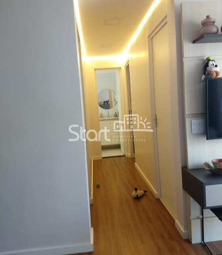 Imagem 5 de 26 de Apartamento À Venda Em Vila Satúrnia - Ap006430
