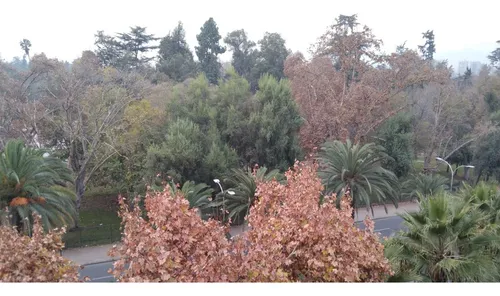 Departamento En Arriendo Cercano A Metro Rondizzoni