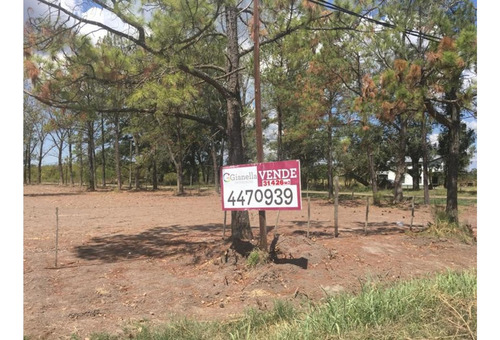 Imagen 2 de 18 de Venta Funes Terreno Arbolado 31428 M2