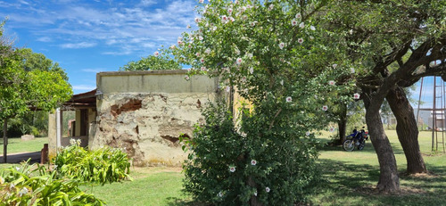 Casa Quinta En Venta - 1 Dormitorio 1 Baño - Navarro