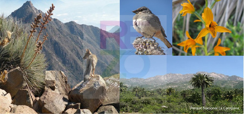 :::: Conecta Con La Tierra. Tranquilidad Y Naturaleza ::::