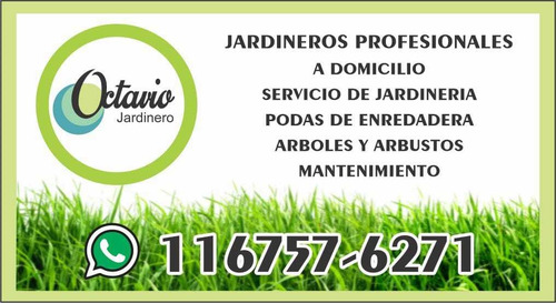 Imagen 2 de 10 de Servicio De Jardinería, Jardineros Profesionales A Domicilio
