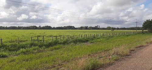Imagen 10 de 27 de Se Vende Finca El Maitero Via El Sur De Monagas Ve02-1098vs-mtru