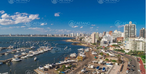 Puerto De Punta Del Este -  Hermoso Apto Para Disfrutar