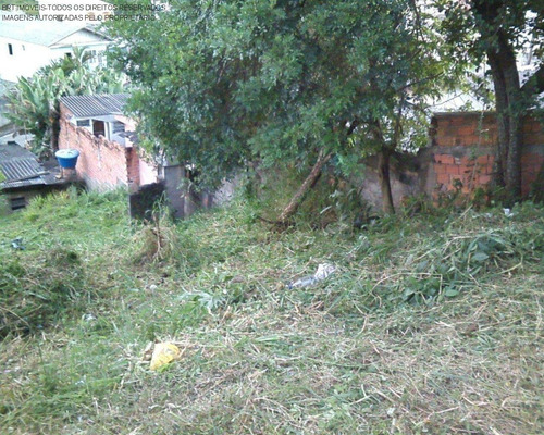 Imagem 15 de 15 de Terreno - Te00146 - 68899602