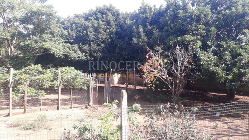 Imagem 8 de 16 de Chácara Em Franca - Sp - Ch0007_rncr
