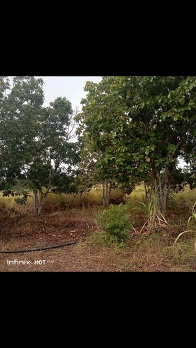 Imagen 7 de 10 de Se Vende Finca En Terragona Municipio Cedeño Ve02-1301ced-dced
