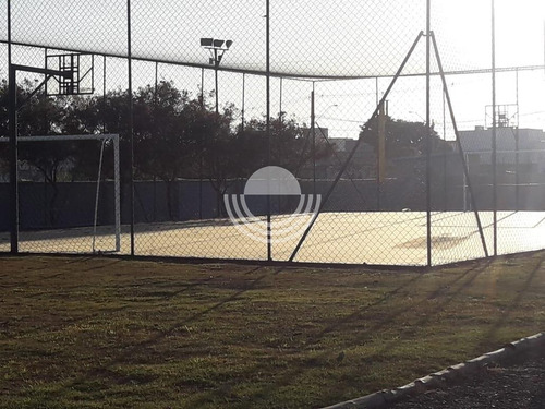Imagem 11 de 16 de Terreno À Venda Em Cascata - Te006805