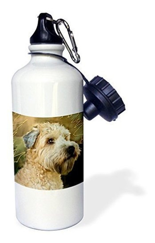 3drosa Botella De Agua De Terrier De Trigo Blando, 21 Wj1s4