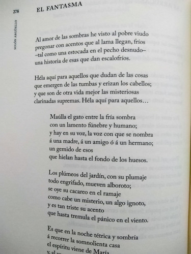 Solón Argüello Poemas Prólogo Beatriz Gutiérrez Muller