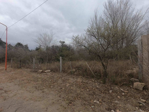 Imagen 19 de 30 de Ycho Cruz Terreno Escritura A Metros Ruta 14 Y Rio