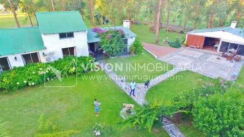 Imagen 22 de 30 de Chacra De 15 Hás Con El Confort De Hermosa Casa Reciclada, Barbacoa Y Piscina Climatizada.