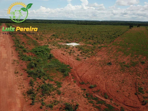 Imagem 8 de 15 de Fazenda À Venda Em Fátima - To-excelente P/ Lavoura, Plantio De Até 800 Hec - 1617