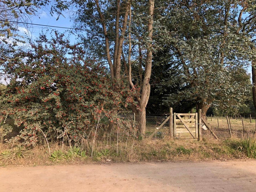 Areco - Lote Quintas -excelente 20 X 53 - U$s 93000