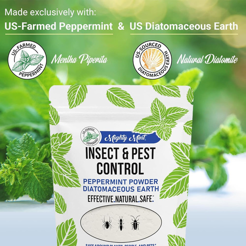Control Insectos Y Plagas De Menta De Tierra De Diatomeas