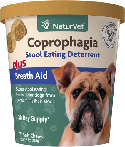 Coprofagia No Comer Heces Perro Y A