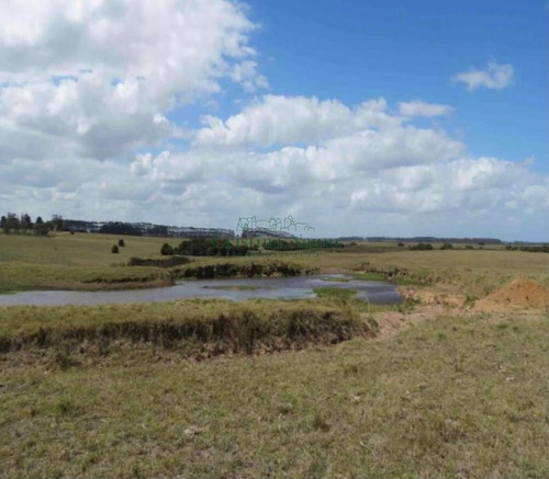 Espectacular Campo De 110 Ha.- Ref: 37062