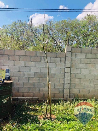 Imagem 30 de 30 de Chácara À Venda, 1000 M² Por R$ 650.000,00 - Parque Da Represa - Paulínia/sp - Ch0103