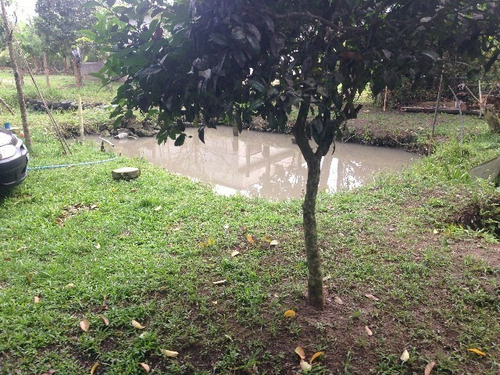 Chácara Com Pé De Frutas, 1 Dormitório, Em Itanhaém