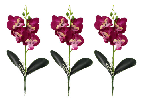 Suministros Para Arreglos Florales De Bricolaje Phalaenopsis
