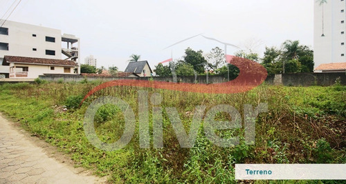 Imagem 2 de 3 de Terrenos Em Barra Velha, Lote 01,02, 03. Barra Velha, Santa Catarina - Te00052 - 33612937