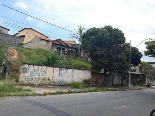 Imagem 3 de 6 de Lote / Área / Terreno À Venda, Tropical - Contagem/mg - 25569