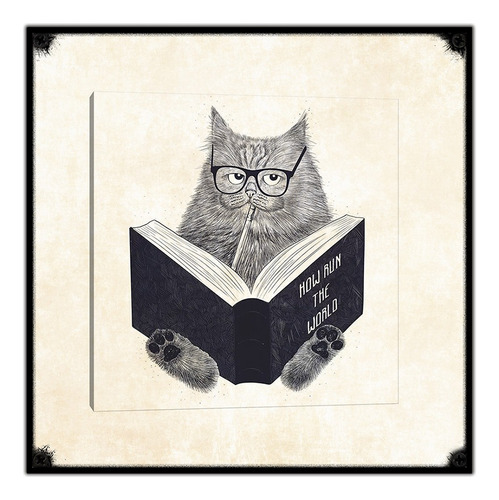 #420 - Cuadro Vintage 30 X 30 - Gato Poster Libro Lentes 