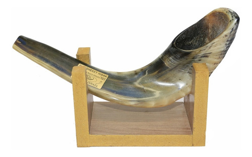 Imagem 8 de 10 de Shofar Chifre De Carneiro De Tocar Ou Ungir/unção + Suporte - Original De Israel