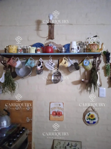 Chacra De Cinco Hectáreas