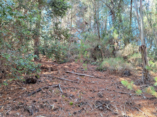 Se Vende Terreno De 5000 M2 En Condominio, Cáhuil, Pichilemu