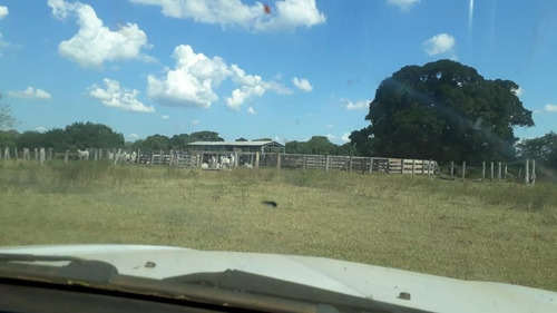 Imagem 17 de 17 de Fazenda - Área Rural A Venda Em Barão De Melgaço - Mt - Fa0191