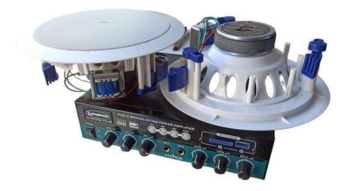 Amplificador Sonido Ambiental Con 2 Parlantes De Techo.