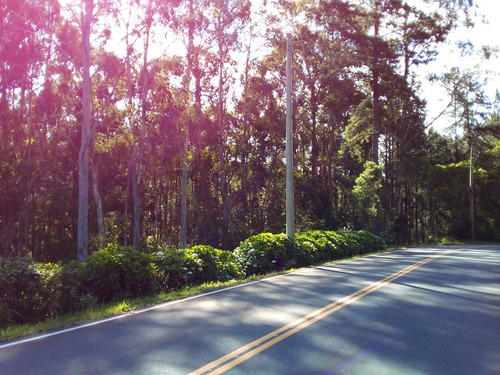 Terreno Em Gramado/rs Com 8,87 Hectares.