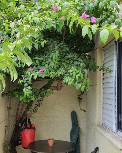 Imagem 6 de 13 de Apartamento À Venda No Parque Maria Domitila - 9362
