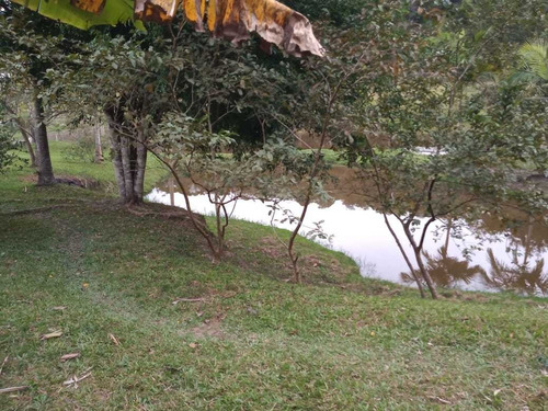 Imagem 6 de 14 de Excelente Chácara Com Lago Cod 4450