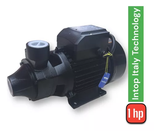 Bomba De Vacío Everwell De 1/3 Hp (1lvp-5mp)