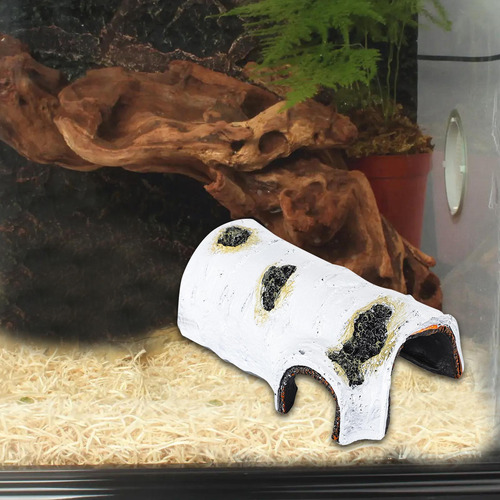 Muelle Para Reptiles Para, Rampa Para Escalar Estilo C