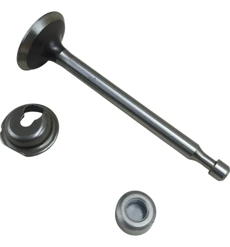 comprar Válvula Escape 594095 Original Para Motor Bgs & Str