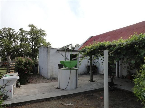 Quinta En Venta De 2 Dormitorios En Puntas De José Ignacio