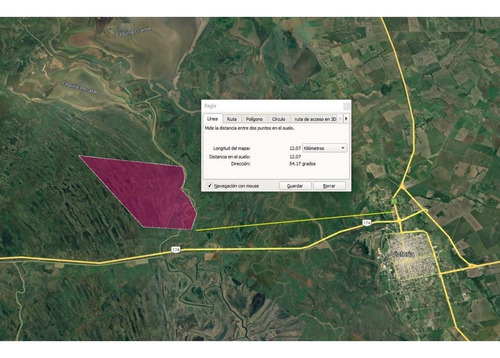 Imagen 10 de 29 de Campo De Isla Ganadero, 2.000 Has Sobre El Paranacito