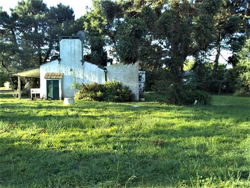 Imagen 6 de 13 de Casa Quinta Con Gran Parque. A 150 Mts De Ruta 88